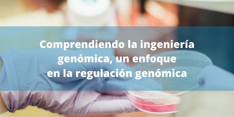Comprendiendo la ingeniería genómica, un enfoque en la regulación genómica