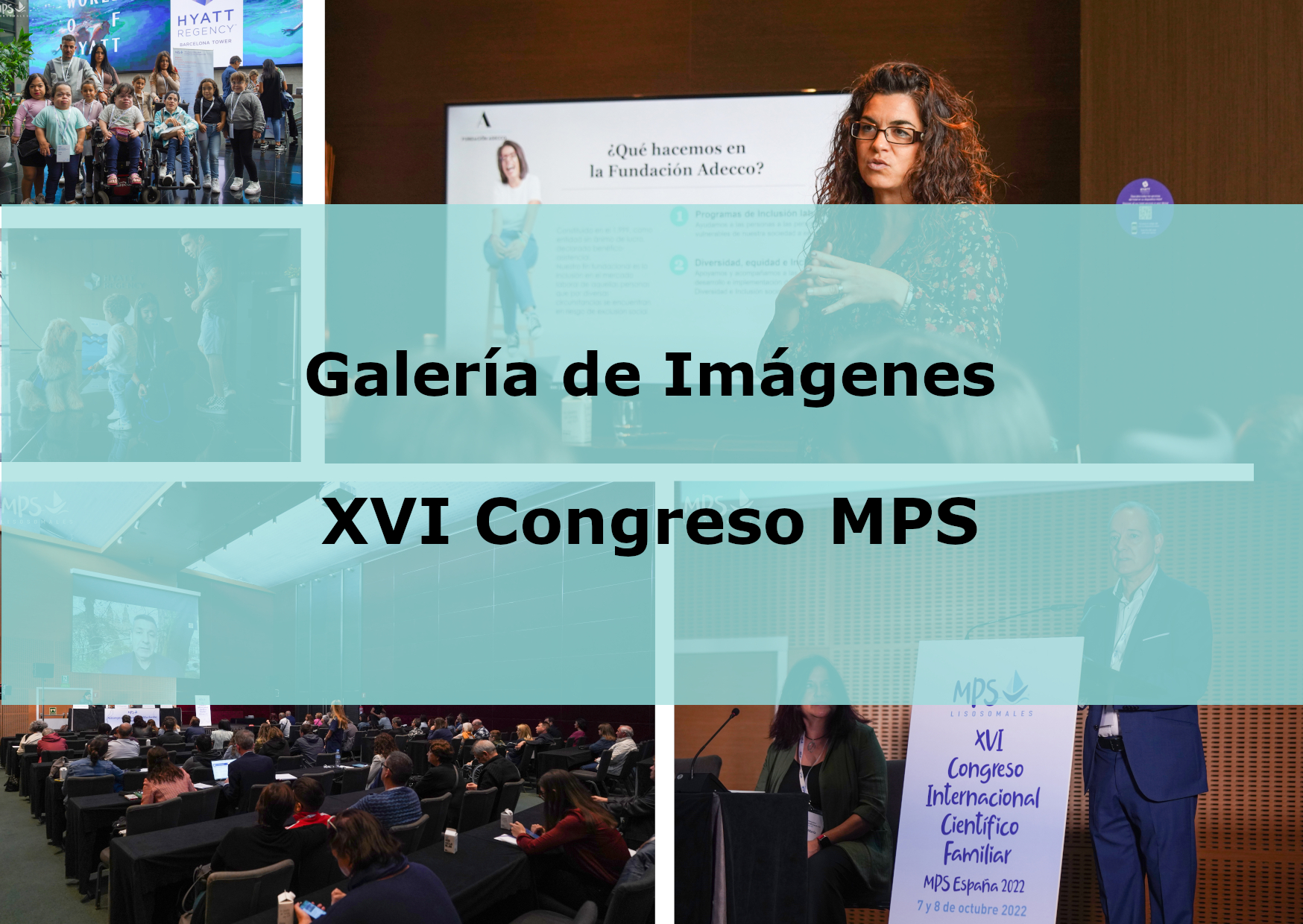 GALERÍA DE IMÁGENES XVI CONGRESO MPS